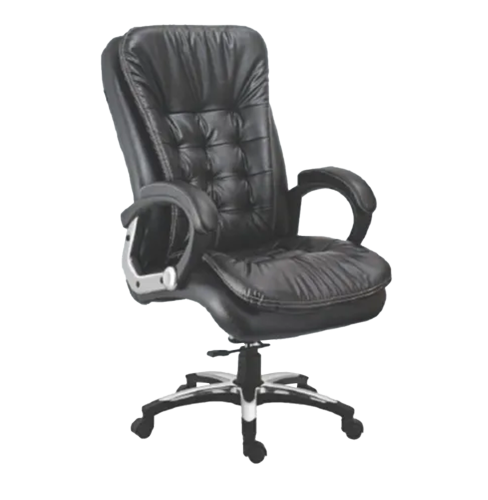 Director Chair